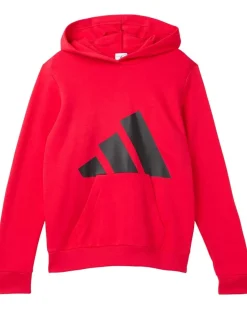 adidas Kids Essential Big Logo Fleece Hooded Pullover (Big Kid)