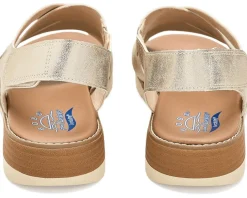 BOBS from SKECHERS Bobs Arch Fit Oasis - Cozy Crosser Women's