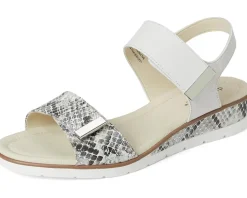 David Tate Civic Women's