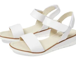 David Tate Scala Women's