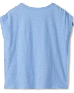 Hatley Kids Sea Shell Graphic Tee (Toddler/Little Kid/Big Kid)