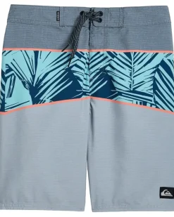 Quiksilver Kids Boys Everyday Panel (Big Kid)