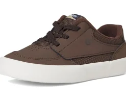 Sperry Kids Boardwalk Sneaker (Toddler/Little Kid)