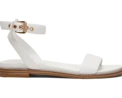 Steve Madden Dandi Women's