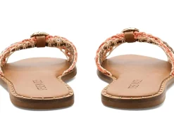 Steve Madden Dipsy Women's
